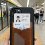 맥세이프 카드지갑에 학생증과 교통카드가 꽂혀 있는 모습