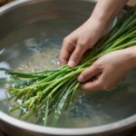 데친 미나리를 찬물에 헹구는 모습