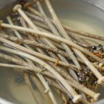 데쳐서 물에 담가 쓴맛을 우려내고 있는 오가피순 나물